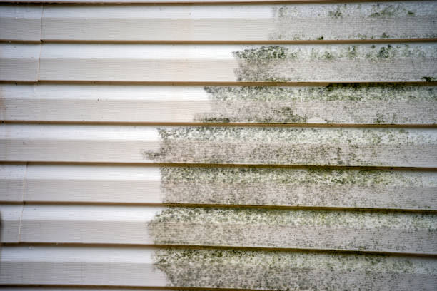 Siding for New Construction in Lost Hills, CA