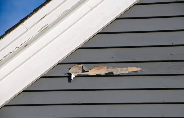 Best Residential Vinyl Siding Installation  in Lost Hills, CA